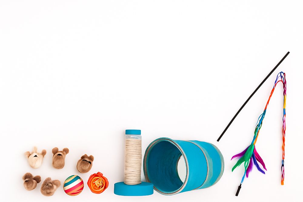 Bulk Cat Play Accessories for Shops: How to Stock and Sell Interactive Cat Toys