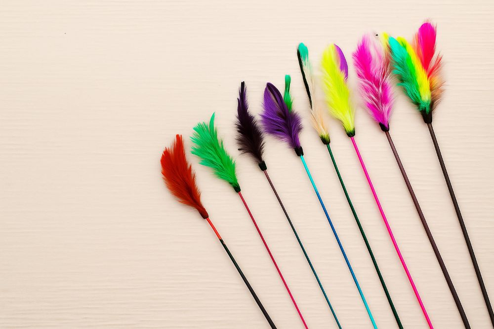 Wholesale Feather Cat Teaser Wands: Why They’re a Must-Have for Your Pet Store