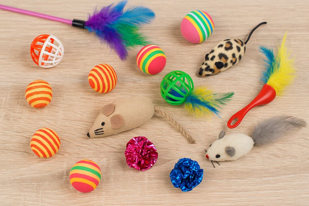 Top Reasons to Buy Bulk Cat Toys for Your Store or Shelter
