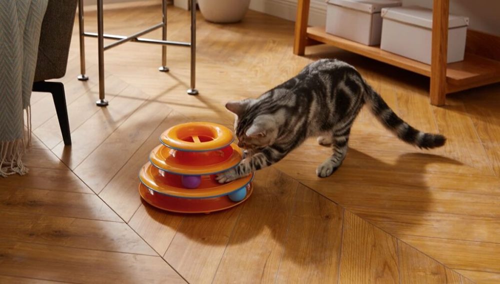 best cat toys for self play