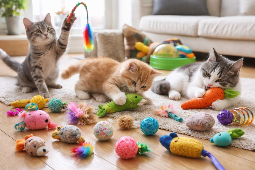 cat toy bulk