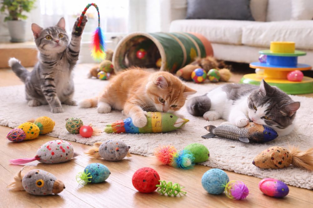Bulk Cat Toys: A Complete Guide to Cost-Effective, Scalable, and Engaging Pet Toy Sourcing