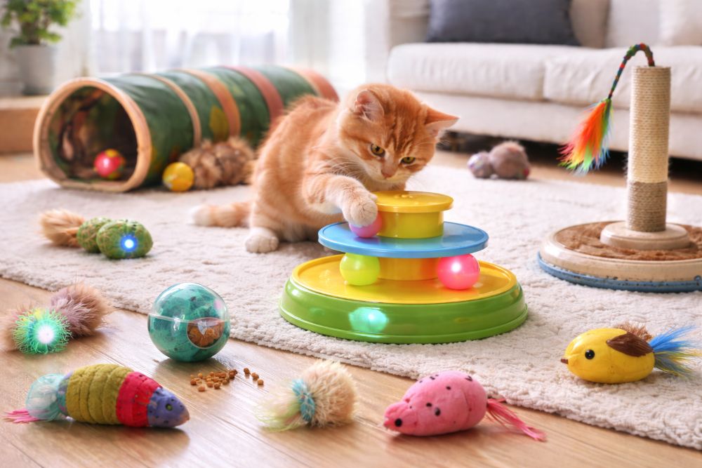 Self Play Cat Toys: Designing Independent Fun and Enrichment for Modern Indoor Cats