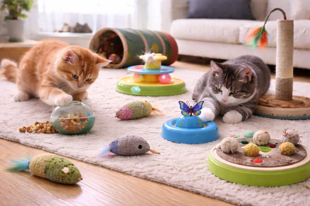 Cat Toys for Independent Play: Smart Solutions for Enriching Cats When You’re Not Around
