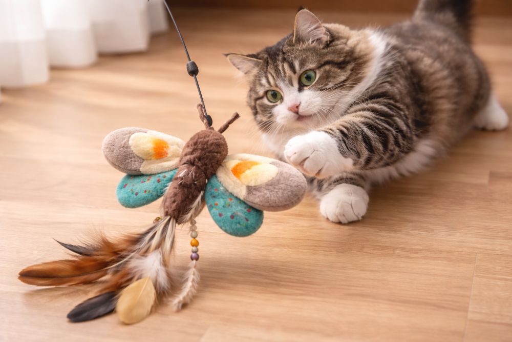 moth cat toy